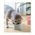 thumbnail image 3 of 2pz Plato Xtellar verde Comedero Inclinado Elevado Para Gato Perro Mascota, 3 of 5