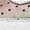 White/Gorge Green/Green Spark, variant on NIKE MENS Air Force 1 Low "Ducks of a Feather University of Oregon" IU7613 100 IU7613 100 from Stadium Goods