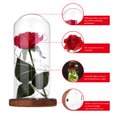 thumbnail image 2 of Rosa roja LED, cúpula de cristal de rosa roja, cúpula de cristal de regalo de cumpleaños de rosa roja, valor inmejorable, 2 of 8