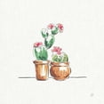 thumbnail image 3 of Brissonnet, Daphne 20x20 Black Modern Framed Museum Art Print Titled - Desert Bloom VII, 3 of 5