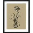 thumbnail image 2 of Art.com Botanical Sketch Black and White II Art Print by Ethan Harper, Black Frame Wall Art, 17" x 21", 2 of 5