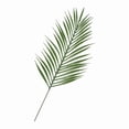 thumbnail image 3 of Hojas de palmeras artificiales Hojas de plantas para proveedores de fiestas Luau Selva Areca Palma Verde Oscuro, 3 of 5