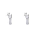 thumbnail image 2 of Wweixi Chic Chain Hand Model Shop Display Holder for Stunning Jewelry Showcase White 25.5cm 2Set, 2 of 6