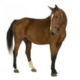 thumbnail image 2 of Horse Wall Decal by Wallmonkeys Peel and Stick Graphic (36 in H x 30 in W) WM260006, 2 of 4