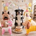 thumbnail image 3 of Yanonmyfd 7pcs Dog Balloon Set – Dog 2nd Birthday Decorations Cute Puppy Foil Mylar Animal Balloons with Number 2 for Dog Themed Birthday Party Baby Shower,Number 3, 3 of 12