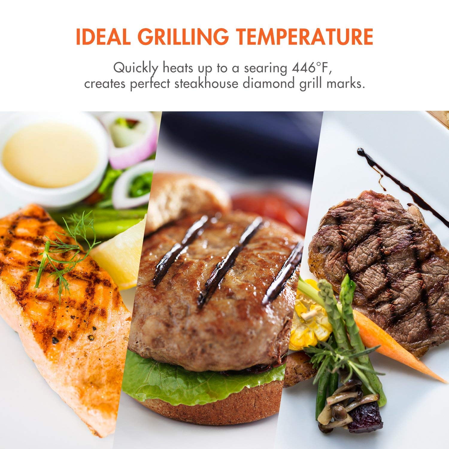 Cooker Review: Tenergy Redigrill Smokeless Infrared Grill - Grill Product  Reviews - Grillseeker