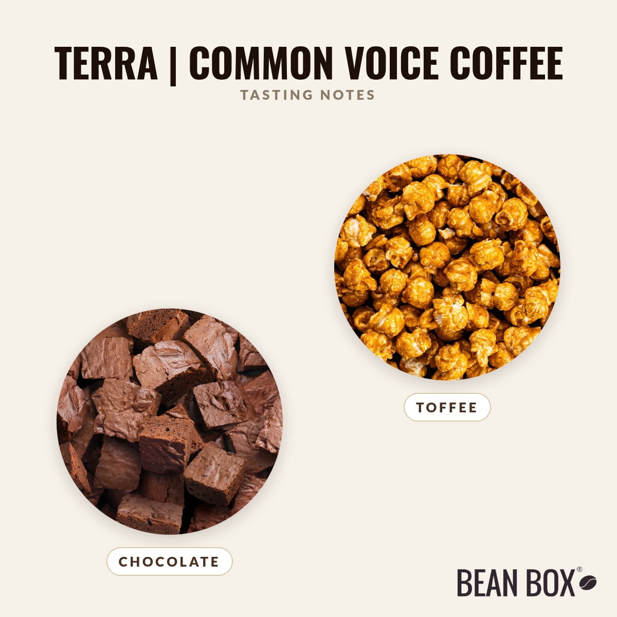 Terra Common Voice Coffee - Roasted by 8th & Roast Coffee Co. - Whole Bean Coffee - 2lb Bag