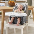 thumbnail image 3 of Fisher-Price Deluxe High Chair Adjustable Infant to Toddler Portable Booster Seat, Gray Tribal, 3 of 6