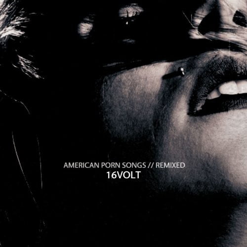 Www Amric Sex Com - 16Volt - American Porn Songs Remixed [CD] - Walmart.com
