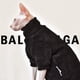 thumbnail image 3 of Billuyoard Suéteres suaves y cálidos de poliéster para gatos , ropa disponible en varios tamaños para gatos Ropa para mascotas marrón XS, 3 of 6