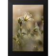 thumbnail image 2 of Deiter, Lori 11x14 Black Modern Framed Museum Art Print Titled - White Wildflowers I, 2 of 5