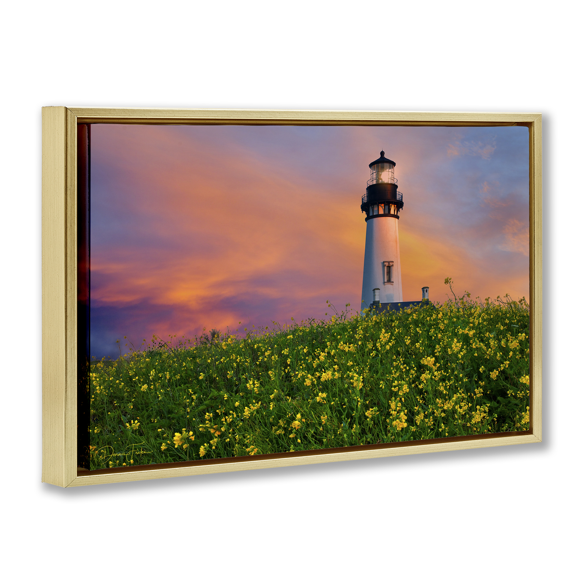 Stupell Industries Lighthouse & Floral Meadow Coastal Photography Gold Floater Framed Canvas Art Print Wall Art, 25 x 17