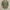 Army Green, variant on Pitauce Mens Long Sleeve Button Down Linen Shirts Solid Lapel Big & Tall Work Shirts Classic Loose Casual Dress Shirt with Pockets, S-5XL