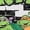 WHITE, variant on Teenage Mutant Ninja Turtles - Character Logo Group - Youth Girls Boxy T-Shirt