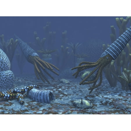 Squid-like Orthoceratites attempt to make meals of trilobites Canvas Art - Walter MyersStocktrek Images (17 x 13)