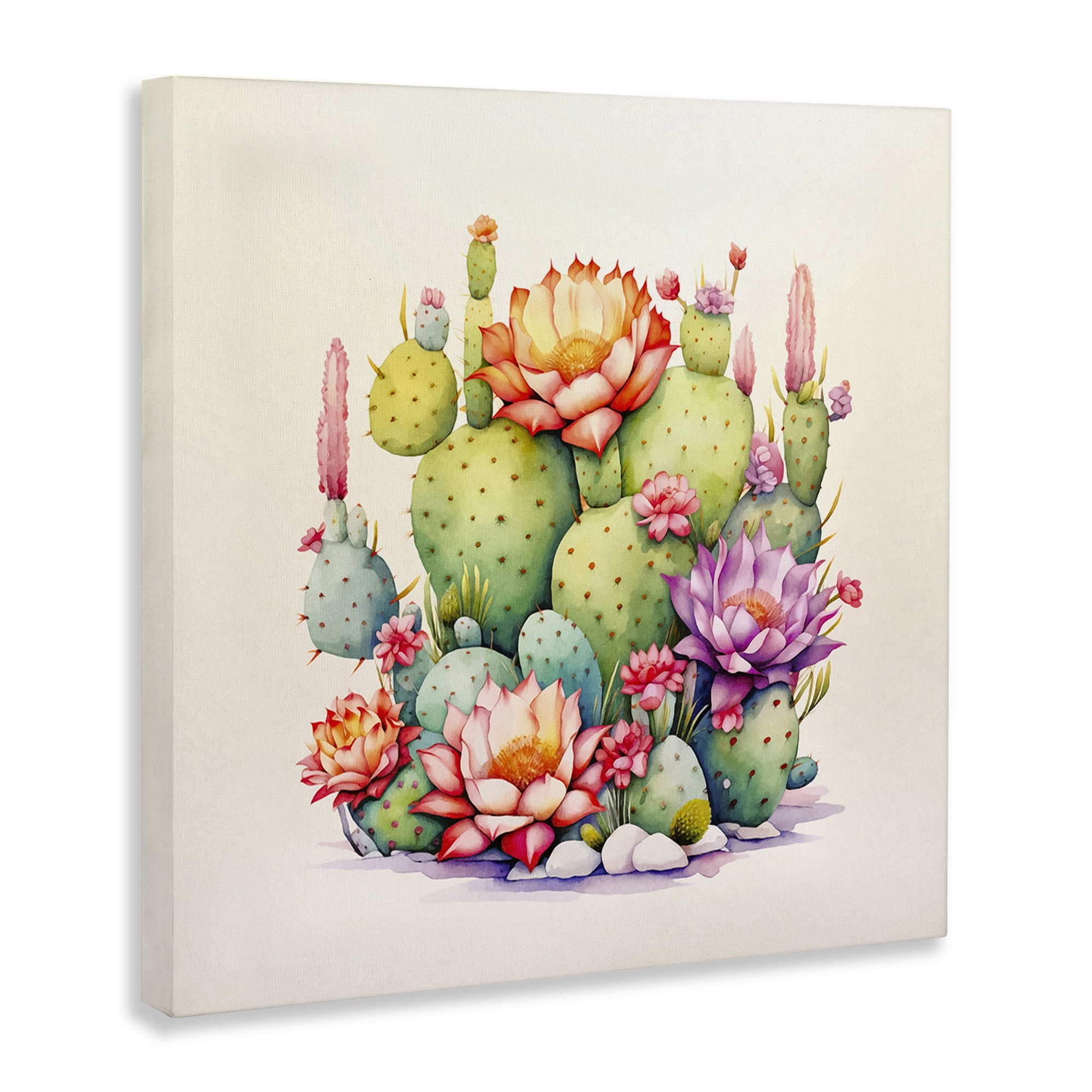 Stupell Industries Desert Spring Blooms Plants & Flowers Painting Wrapped Canvas Art Print Wall Art, 17 x 17