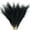 black, variant on TETOU 8pcs Faux Pampas Grass 38"/3.1FT Tall Floral Large Artificial Pompous Grass Branches for Vase Filler Home Boho Decor - Grey
