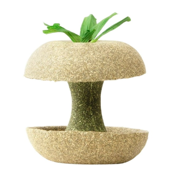 Timothy Grass Apple Core Shaped Small Pet Teething Chew Stick, Natural Material Helps Relieve Teething Discomfort, 1 Pack For Hamsters Rabbits Guinea Pigs