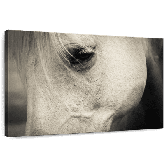 Elephant Stock White Horse Eye Wall Art - Horizontal Canvas Wall Art - Living Room Wall Decor - Animal Canvas - Beige And Gray Decor - 12" x 8"