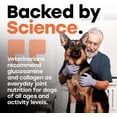 thumbnail image 6 of Pup Choice Hip & Joint Glucosamine Chews for Dogs with Chondroitin, Collagen & Turmeric – Mobility & Joint Support, Beef Flavor Soft Chews, 140 Count, 6 of 10