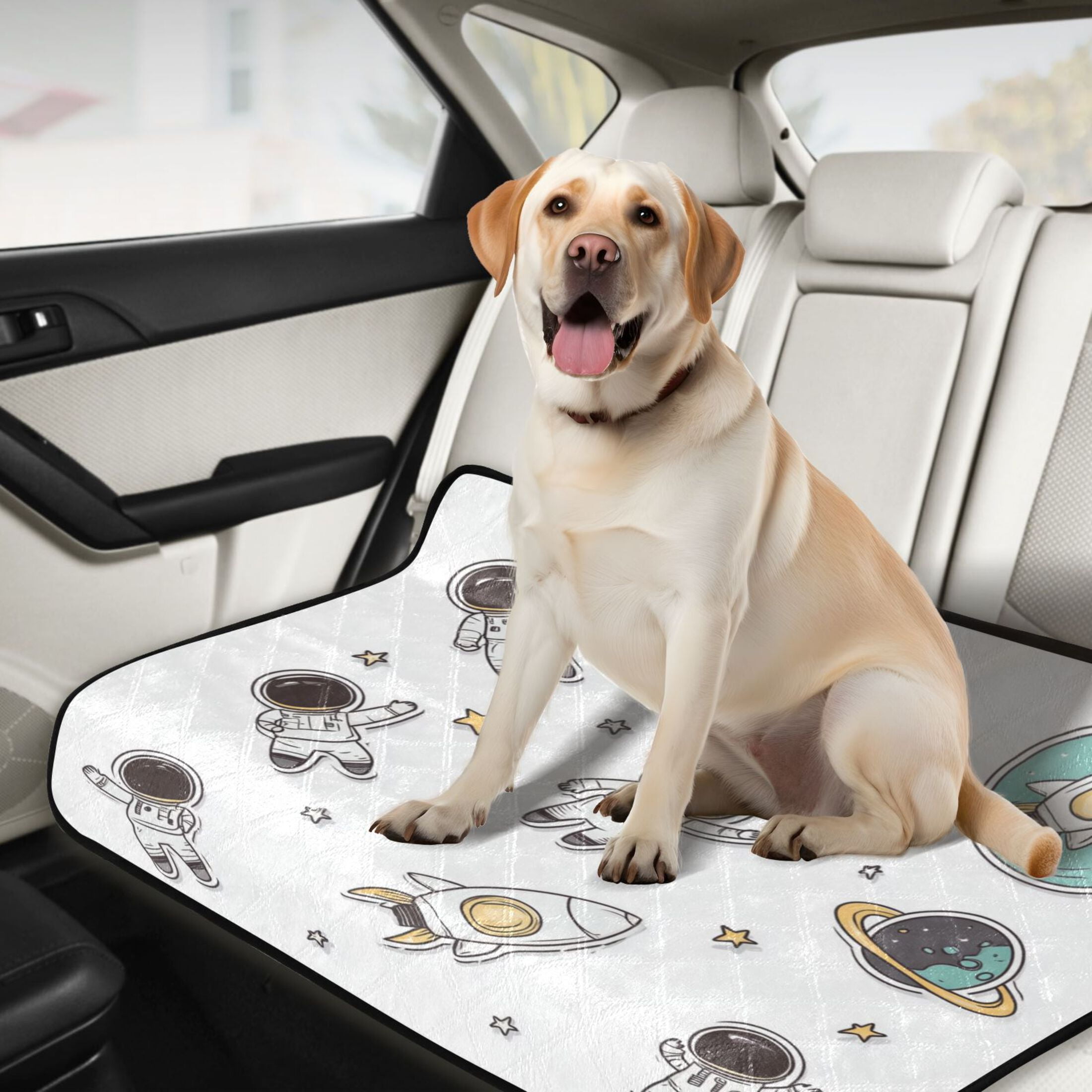 Washable Pet Pee Pads with Super Absorbent Reusable Training Pads for Dogs & Cats Astronauts in Space