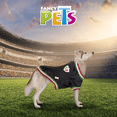 thumbnail image 5 of Playera para Perro Fancy Pets Mexico Grande TX20228, 5 of 5