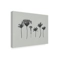 thumbnail image 2 of Jennifer Goldberger 'Wildflower Memory I' Canvas Art, 2 of 3
