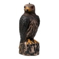 thumbnail image 1 of koolsoo Realistic Eagle Fishing Decoy Pest Control Bird Pigeon Scarer Scare Brown, 1 of 8