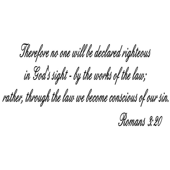 Romans 3:20, Bible Verse Vinyl Wall Decal by Scripture Wall Art, 11"x22" Black, Christian