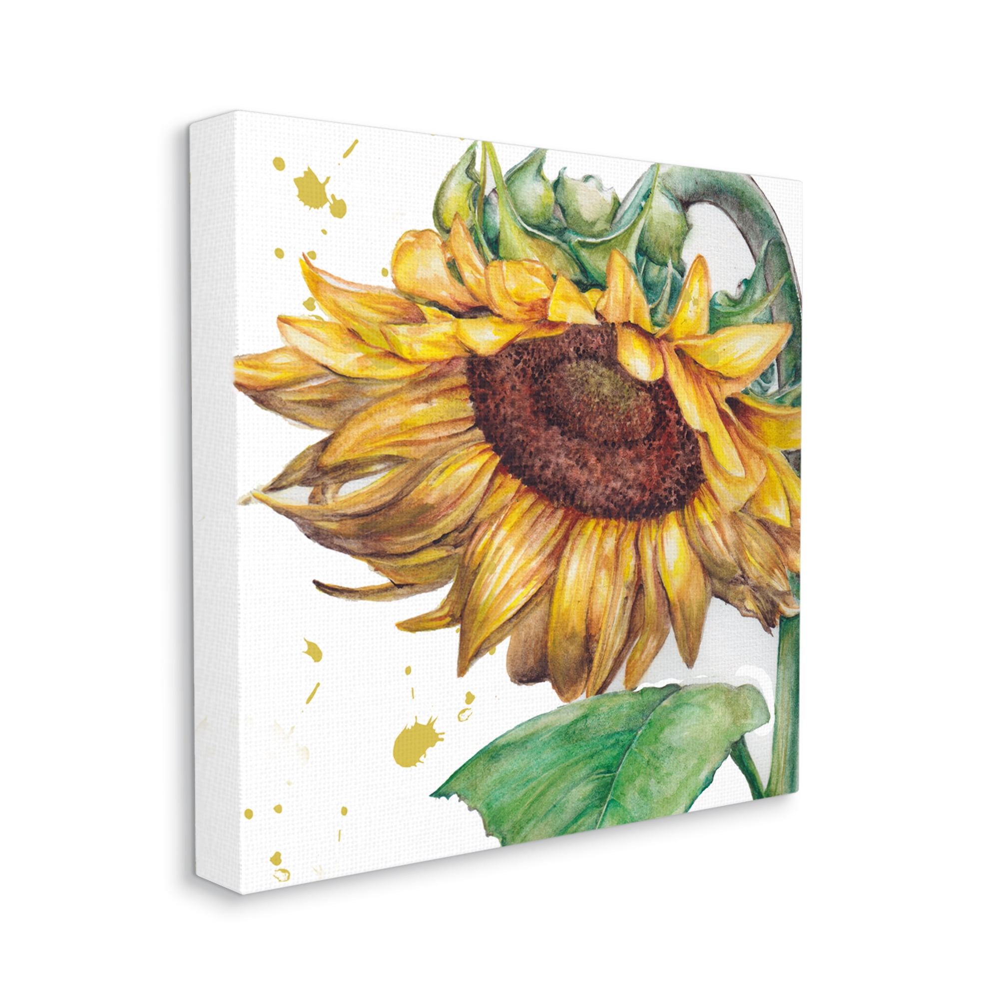 Stupell Industries Sunflower with Paint Splatter Botanical & Floral Painting Gallery Wrapped Canvas Art Print Wall Art, 36 x 36