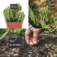 thumbnail image 3 of 20Pcs Plant Label Hooks High Strength Rustproof Corrosion Resistant Not Easily Deformed Weather-resistant Garden Plant Sign Hooks, 3 of 10