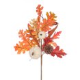 thumbnail image 1 of Harvest Pl Leaf Pick-Orange, 1 of 5