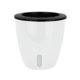 thumbnail image 2 of Maceta para interior y exterior, resistente al sol, para plantas suculentas (M) Likrtyny Libre de BPA, 2 of 8