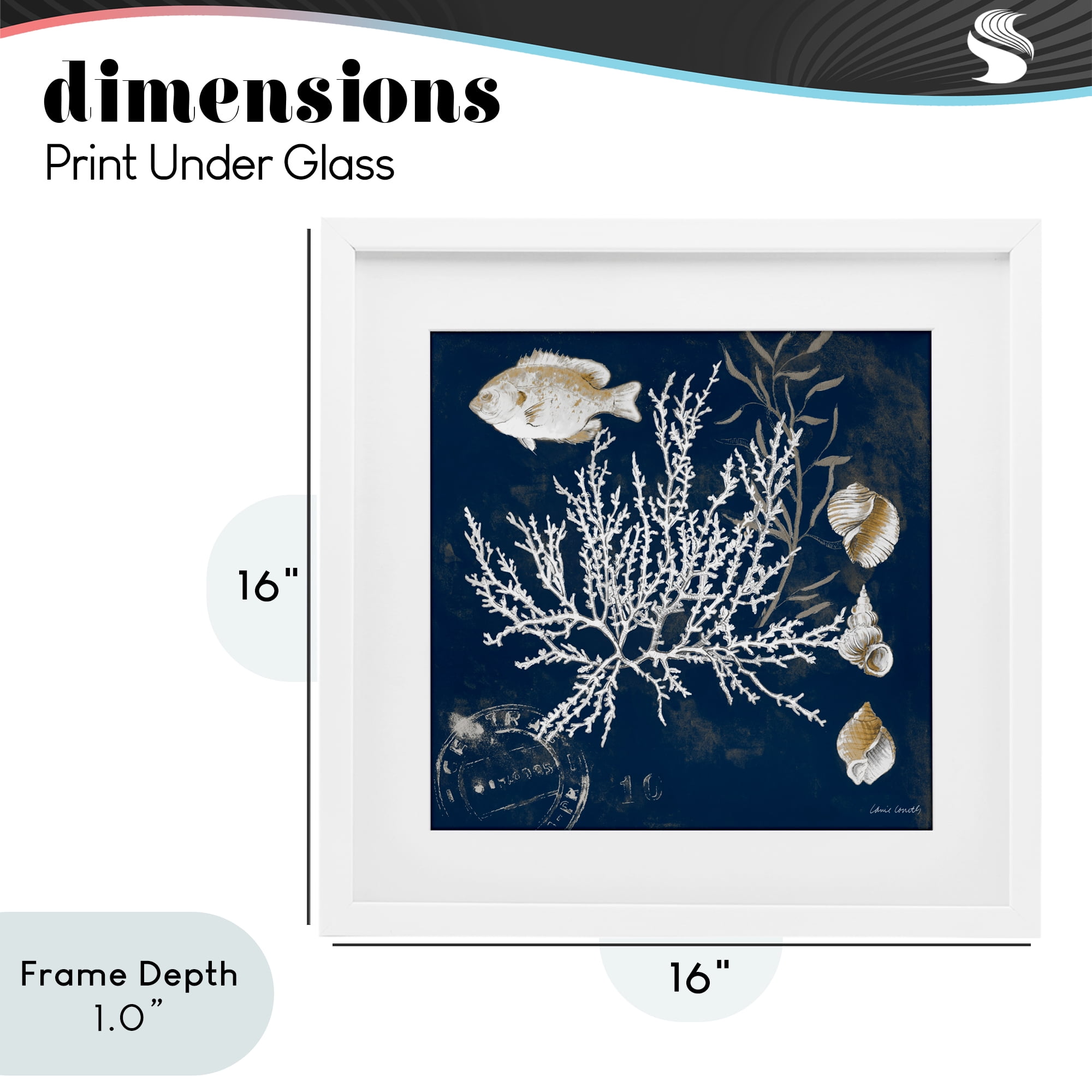 Stupell Industries Coral Medley on Blue White Framed Print Under Glass, design by Lanie Loreth