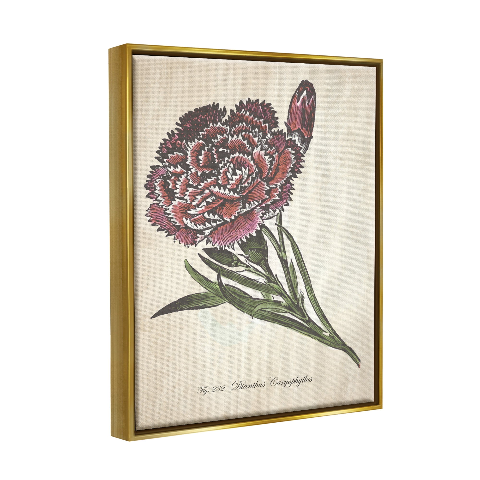 Stupell Industries Botanical Carnation Flower Drawing Red Green Design Metallic Gold Framed Floating Canvas Wall Art, 24x30, by The Saturday Evening Post