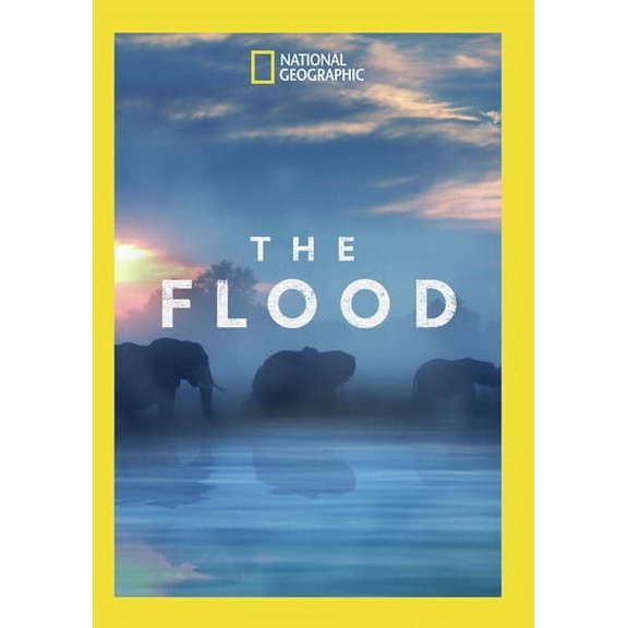 The Flood (DVD)