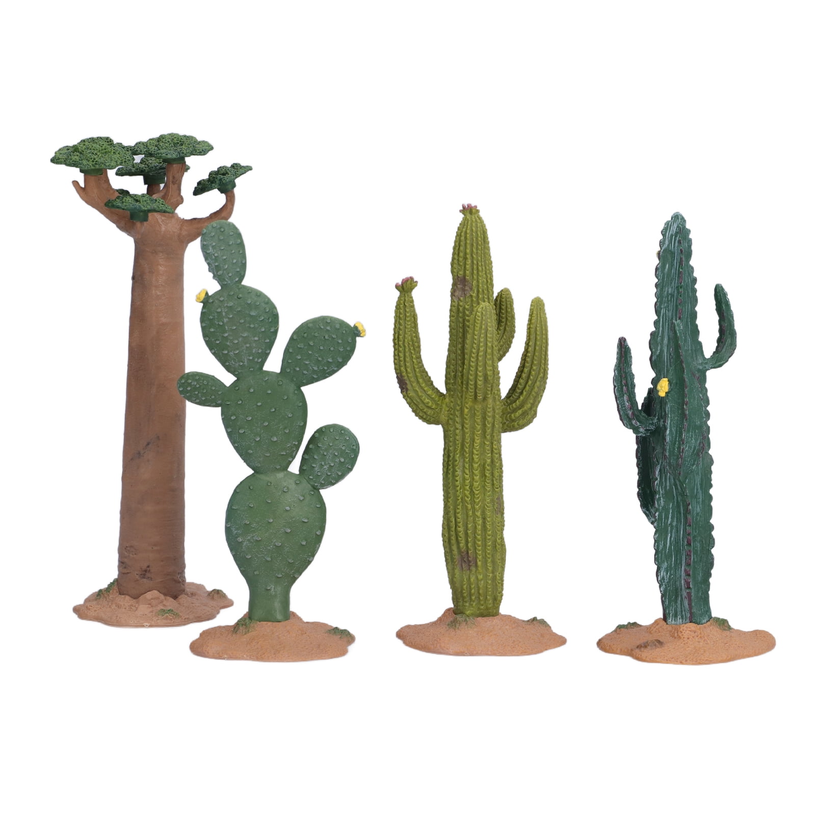 desert plants for kids