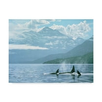 Trademark Fine Art 'Inside Passage' Canvas Art by Ron Parker