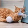 thumbnail image 4 of Big Save,HWRETIE Novelty Funny Toy Clearance,Weimin with Led Light Interactive Toy Feather,Toy,Rechargeable Usb, 4 of 5