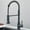 Matt Black, variant on Matte Black & Brushed Nickel Single Handle Kitchen Faucet with Pull-Out Spray, Dual Function Water-Saving Tap, 304 Stainless Steel, Single Hole Installation