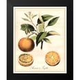 thumbnail image 2 of Vision Studio 15x18 Black Modern Framed Museum Art Print Titled - Tuscan Fruits III, 2 of 5