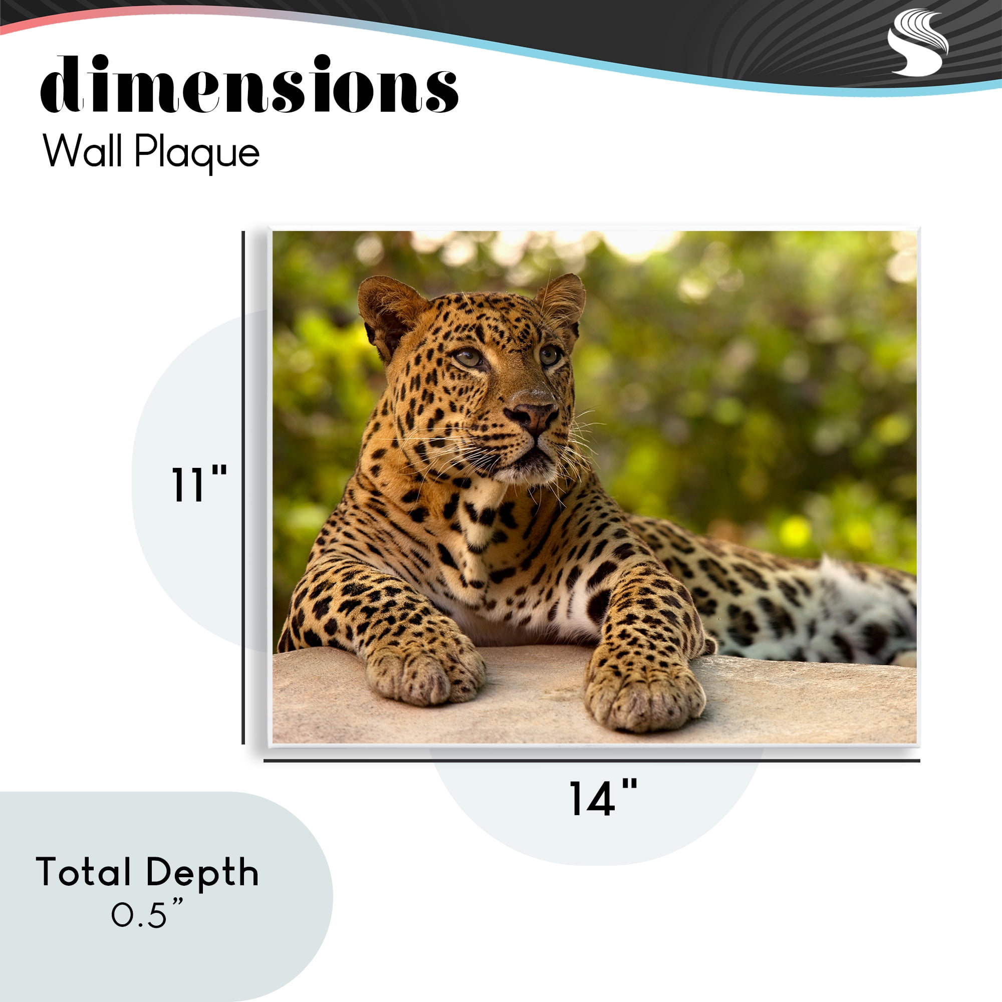 Leopard Gazing Relaxation Wall Plaque Art, design by MJ Photography