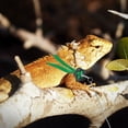 thumbnail image 2 of BRIGHTFUFU harness for bearded dragon green practical for pet owners 1Set, 2 of 3