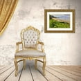 thumbnail image 3 of Carter, Jean 24x17 Gold Ornate Wood Framed with Double Matting Museum Art Print Titled - OR, Ecola SP Cow parsnip near Indian Beach, 3 of 4