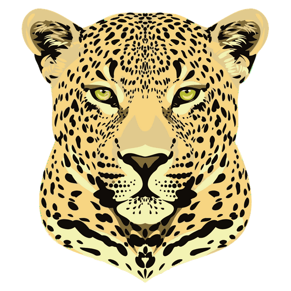 Kids Bedroom Art Safari Large Cat Animal Decoration Fierce Looking African Leopard Design Removable Vinyl Wall Decal - 20" x 22" Home Living Room Multicolored Cheetah Panther Adhesive Wall Sticker