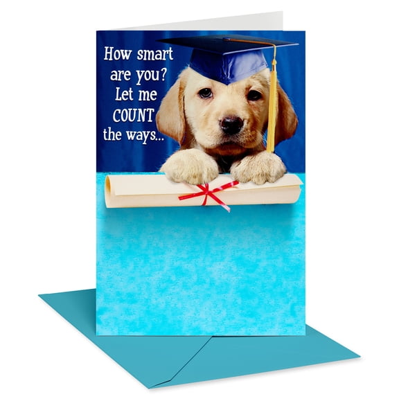 American Greetings Graduation Card for Graduate (Count the Ways)