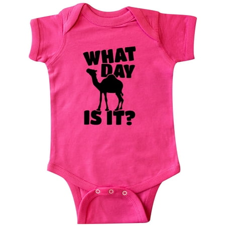 

Inktastic What Day Is It Camel Gift Baby Boy or Baby Girl Bodysuit