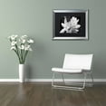 thumbnail image 3 of Trademark Fine Art "Tuber Rose in Black and White" Canvas Art by Kurt Shaffer, Black Matte, Silver Frame, 3 of 4
