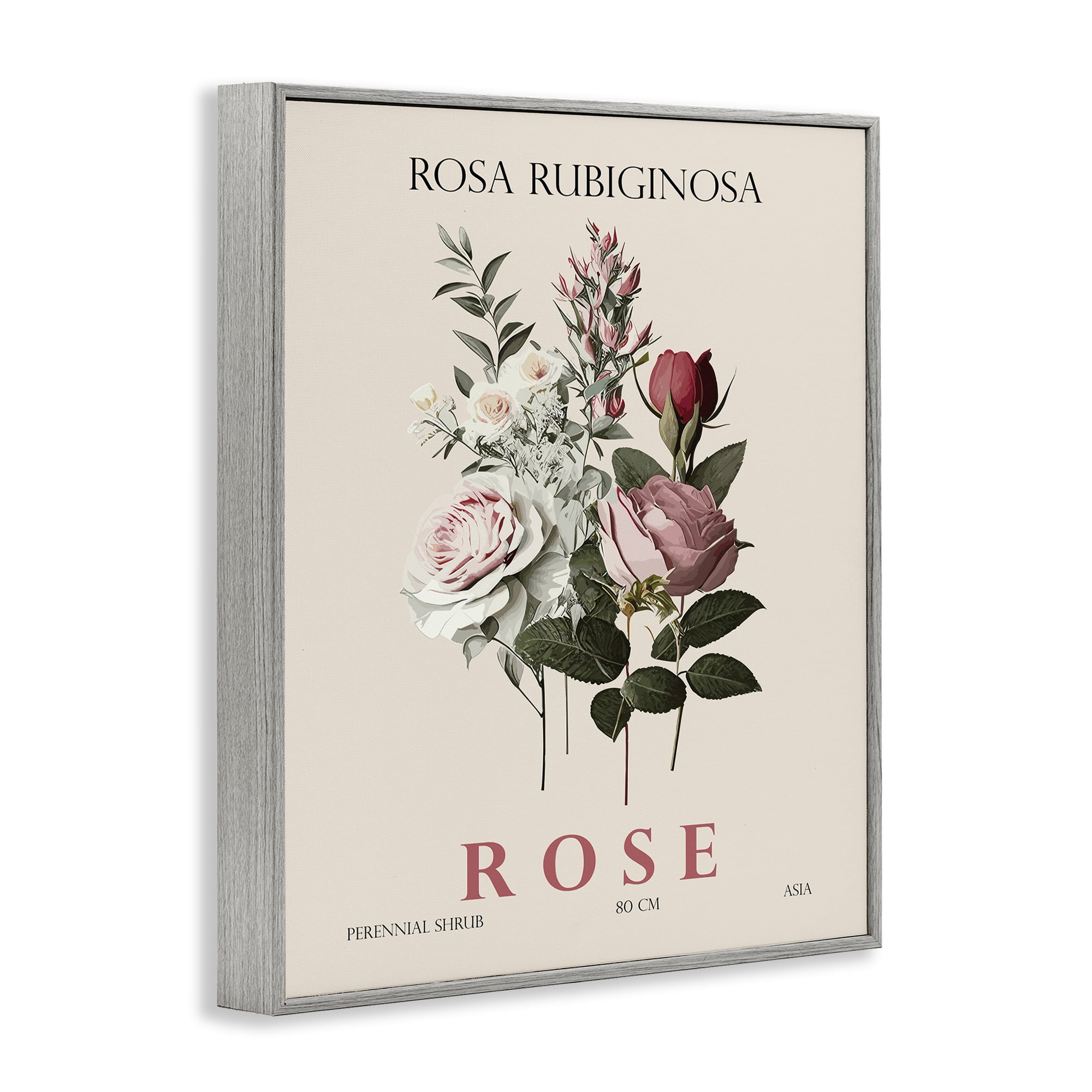 Stupell Industries Natural Rose Bundle Gray Framed Giclee Art, design by Christopher Giampietro