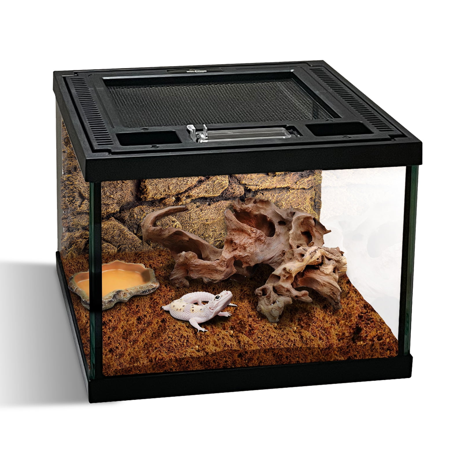 Mini Reptile Glass Terrarium Tank 8 * 8 * 6" Full View, Amphibians Box Habitat Enclosure Cage for Frog,Spiders,Dubia Cockroach,Praying Mantis,Cricket,Tarantula,Hermit Crab
